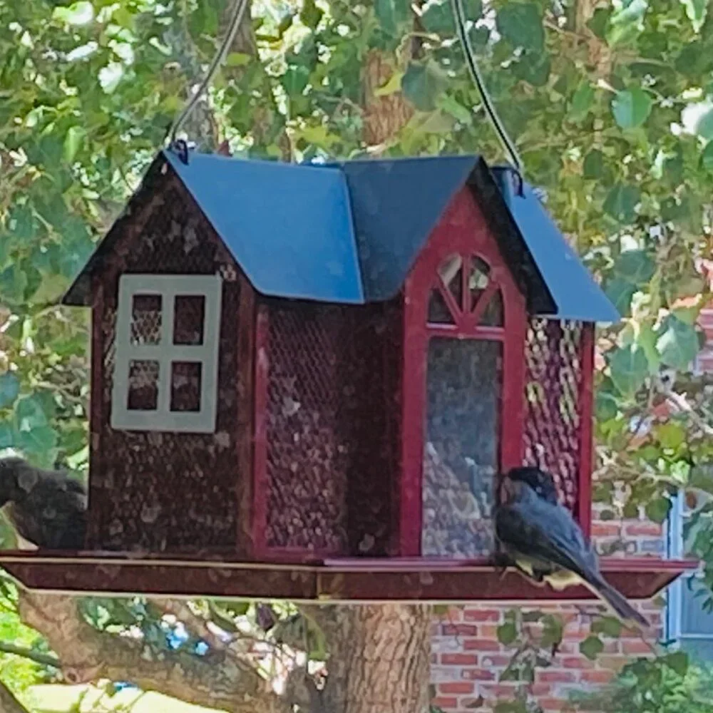Metal bird feeder house